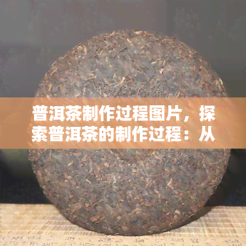 普洱茶制作过程图片，探索普洱茶的制作过程：从叶到成品的每一个步骤，一图详解