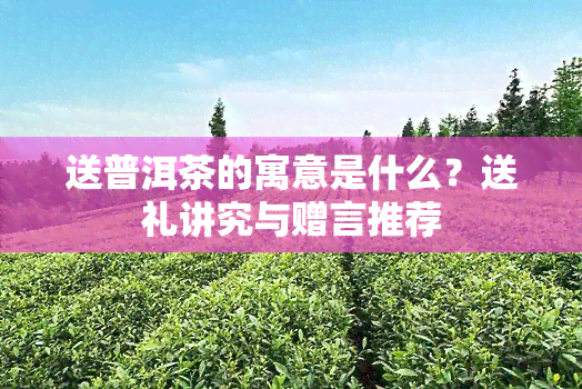 送普洱茶的寓意是什么？送礼讲究与赠言推荐