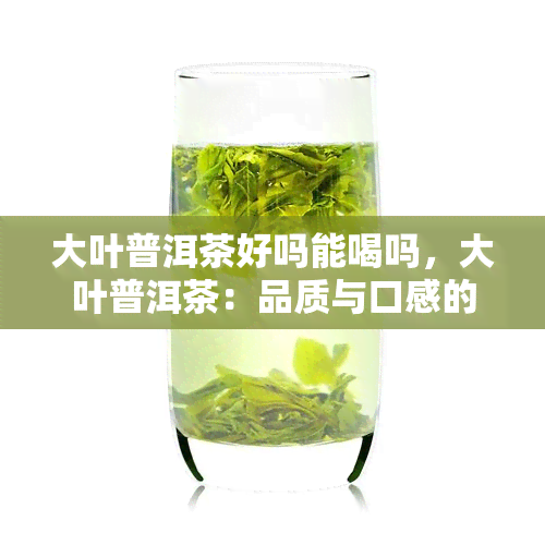 大叶普洱茶好吗能喝吗，大叶普洱茶：品质与口感的双重享受，你值得品尝！