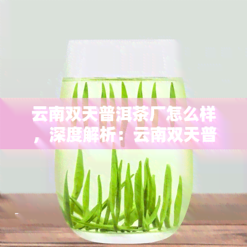 云南双天普洱茶厂怎么样，深度解析：云南双天普洱茶厂的品质与口碑