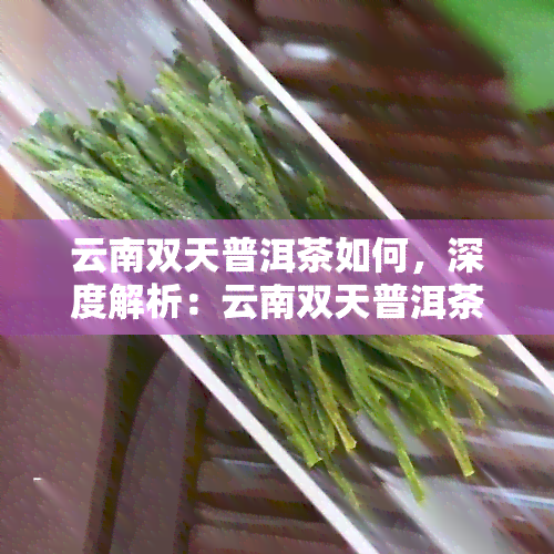 云南双天普洱茶如何，深度解析：云南双天普洱茶的品质与口感