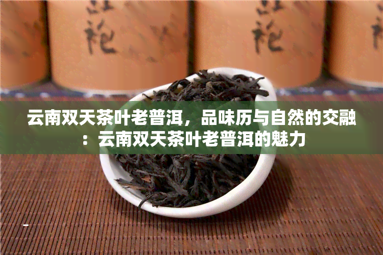 云南双天茶叶老普洱，品味历与自然的交融：云南双天茶叶老普洱的魅力