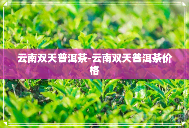 云南双天普洱茶-云南双天普洱茶价格