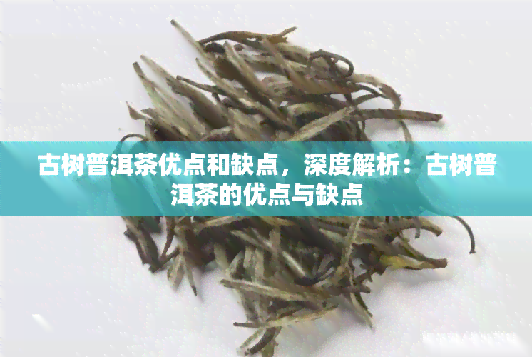 古树普洱茶优点和缺点，深度解析：古树普洱茶的优点与缺点