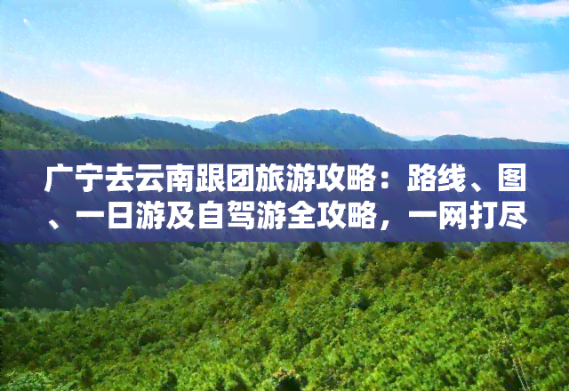 广宁去云南跟团旅游攻略：路线、图、一日游及自驾游全攻略，一网打尽！