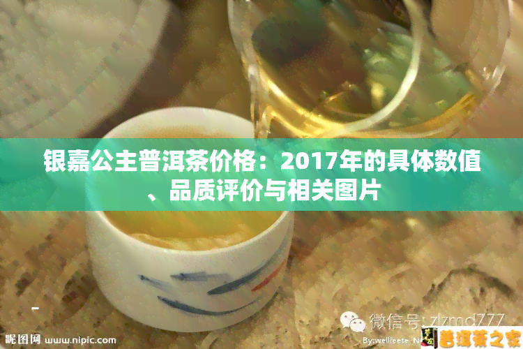 银嘉公主普洱茶价格：2017年的具体数值、品质评价与相关图片