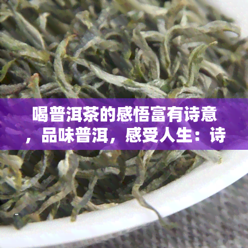 喝普洱茶的感悟富有诗意，品味普洱，感受人生：诗意中的茶道领悟