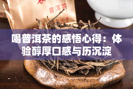 喝普洱茶的感悟心得：体验醇厚口感与历沉淀