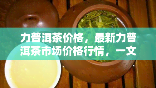 力普洱茶价格，最新力普洱茶市场价格行情，一文看懂！