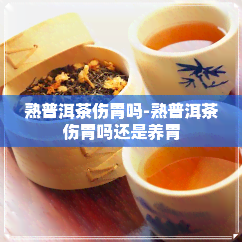 熟普洱茶伤胃吗-熟普洱茶伤胃吗还是养胃