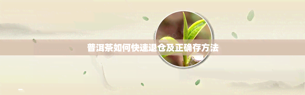 普洱茶如何快速退仓及正确存方法