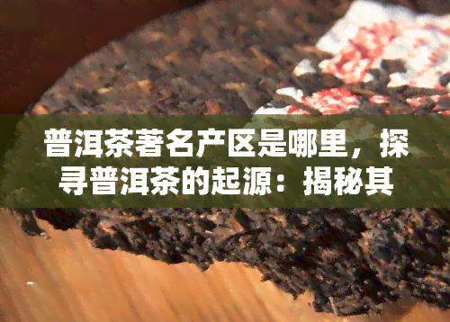 普洱茶著名产区是哪里，探寻普洱茶的起源：揭秘其著名产区