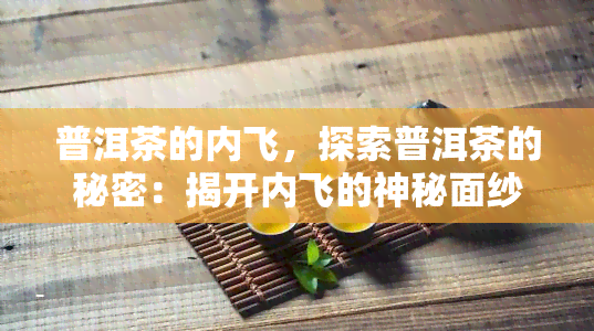 普洱茶的内飞，探索普洱茶的秘密：揭开内飞的神秘面纱