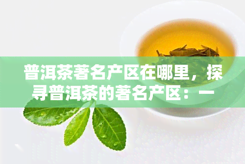 普洱茶著名产区在哪里，探寻普洱茶的著名产区：一场味蕾与文化的旅行