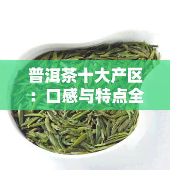 普洱茶十大产区：口感与特点全面解析