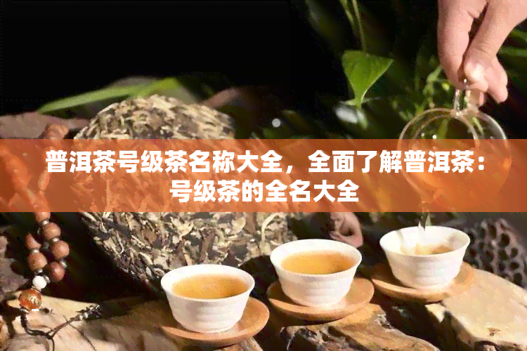 普洱茶号级茶名称大全，全面了解普洱茶：号级茶的全名大全