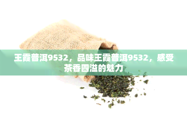 王霞普洱9532，品味王霞普洱9532，感受茶香四溢的魅力