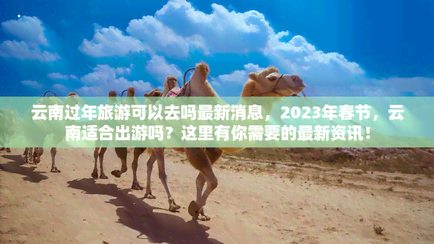 云南过年旅游可以去吗最新消息，2023年春节，云南适合出游吗？这里有你需要的最新资讯！