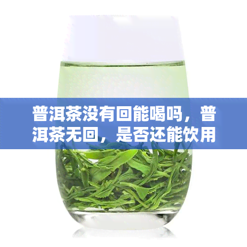 普洱茶没有回能喝吗，普洱茶无回，是否还能饮用？