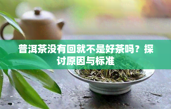 普洱茶没有回就不是好茶吗？探讨原因与标准