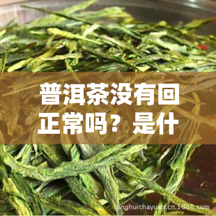 普洱茶没有回正常吗？是什么原因？是否影响品质？