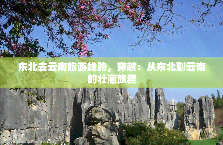 东北去云南旅游线路，穿越：从东北到云南的壮丽旅程