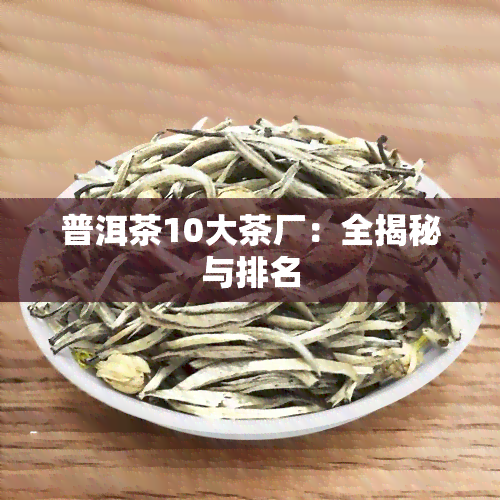 普洱茶10大茶厂：全揭秘与排名