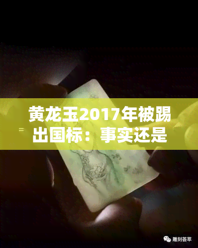 黄龙玉2017年被踢出国标：事实还是谣言？