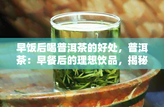 早饭后喝普洱茶的好处，普洱茶：早餐后的理想饮品，揭秘其带来的健好处