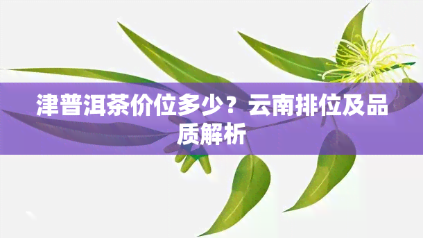 津普洱茶价位多少？云南排位及品质解析