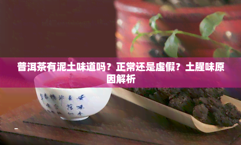 普洱茶有泥土味道吗？正常还是虚假？土腥味原因解析