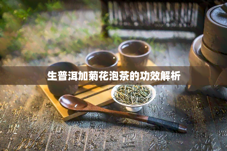 生普洱加菊花泡茶的功效解析