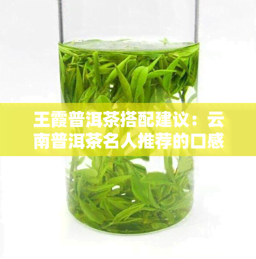 王霞普洱茶搭配建议：云南普洱茶名人推荐的口感组合