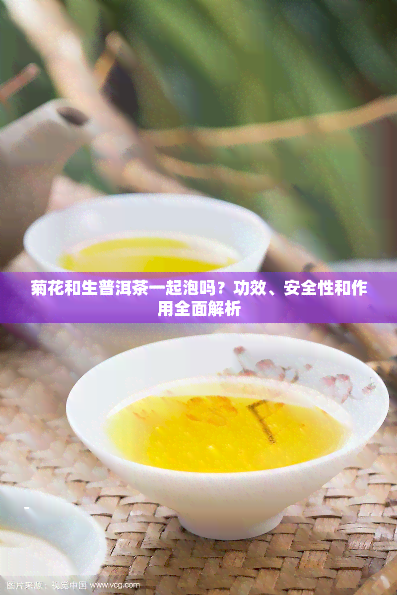 菊花和生普洱茶一起泡吗？功效、安全性和作用全面解析