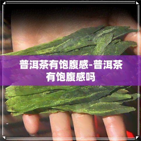 普洱茶有饱腹感-普洱茶有饱腹感吗