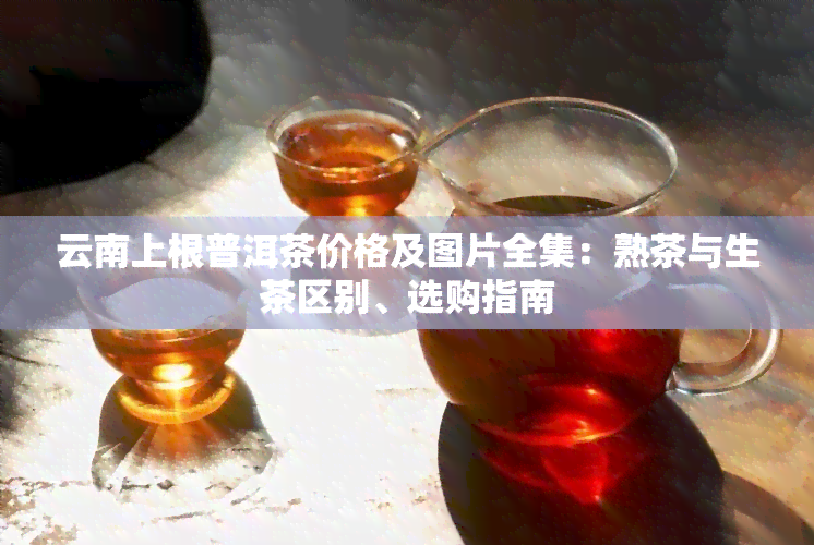 云南上根普洱茶价格及图片全集：熟茶与生茶区别、选购指南