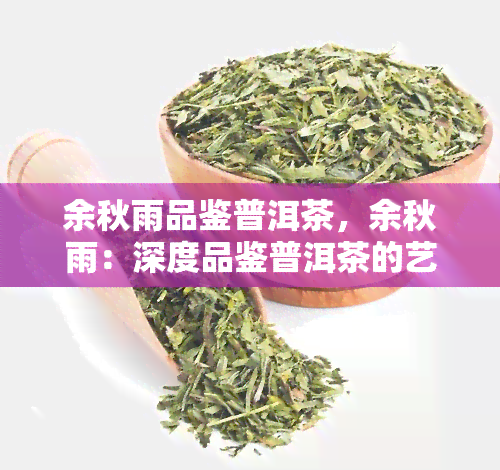 余秋雨品鉴普洱茶，余秋雨：深度品鉴普洱茶的艺术与文化