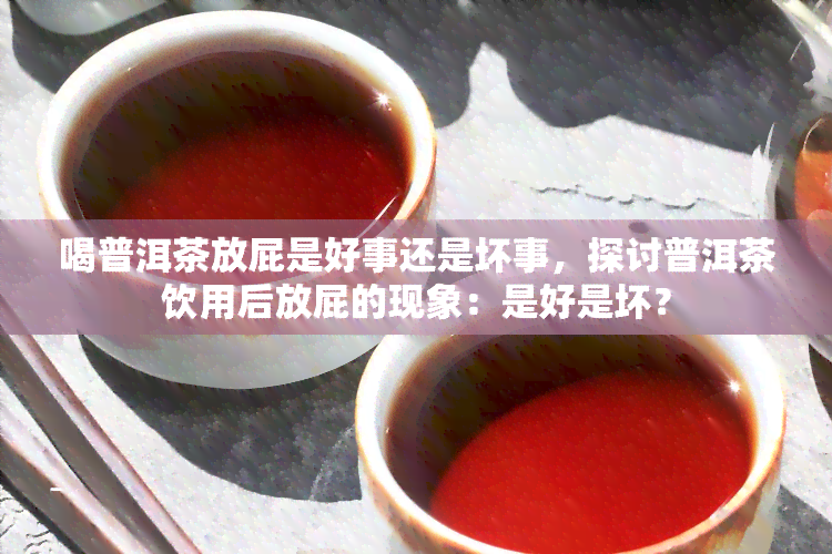 喝普洱茶放屁是好事还是坏事，探讨普洱茶饮用后放屁的现象：是好是坏？