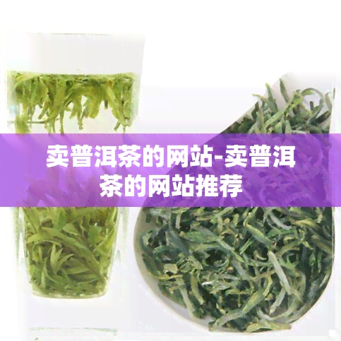 卖普洱茶的网站-卖普洱茶的网站推荐