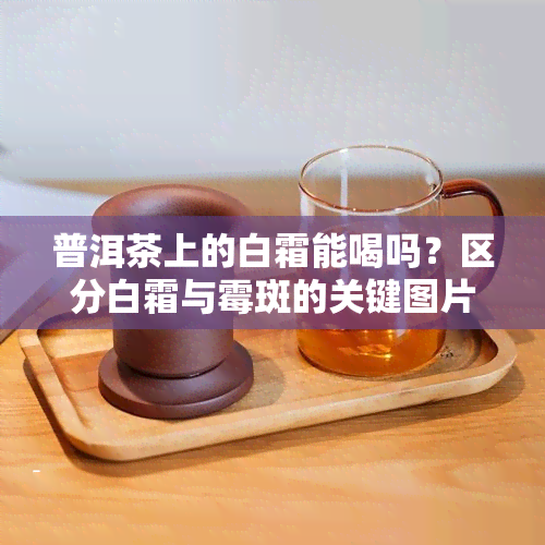 普洱茶上的白霜能喝吗？区分白霜与霉斑的关键图片