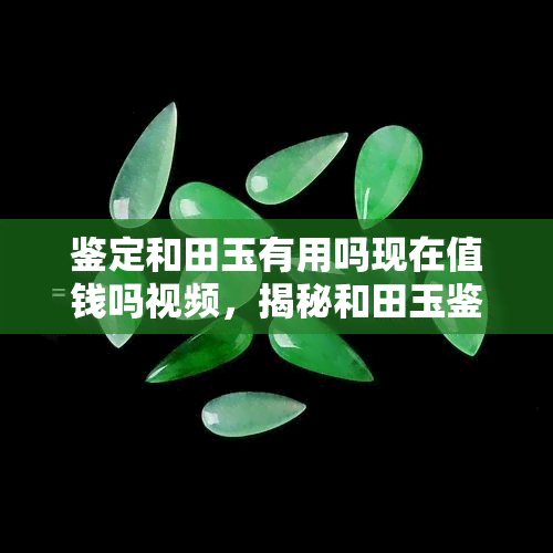 鉴定和田玉有用吗现在值钱吗视频，揭秘和田玉鉴定：真的能赚钱吗？看这个视频就知道！