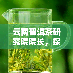 云南普洱茶研究院院长，探索普洱茶文化：云南普洱茶研究院院长分享研究成果与未来展望