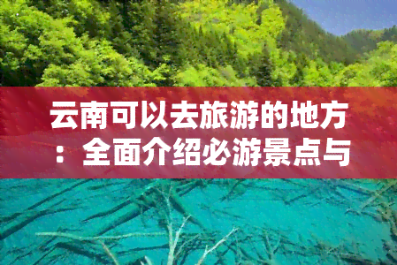 云南可以去旅游的地方：全面介绍必游景点与推荐行程