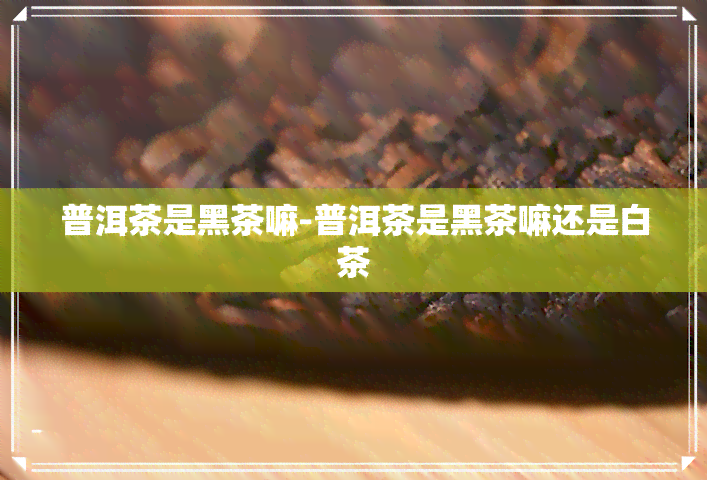 普洱茶是黑茶嘛-普洱茶是黑茶嘛还是白茶