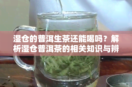 湿仓的普洱生茶还能喝吗？解析湿仓普洱茶的相关知识与辨别方法