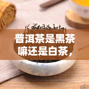 普洱茶是黑茶嘛还是白茶，普洱茶：究竟是黑茶还是白茶？