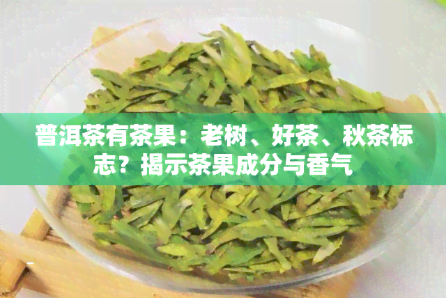 普洱茶有茶果：老树、好茶、秋茶标志？揭示茶果成分与香气