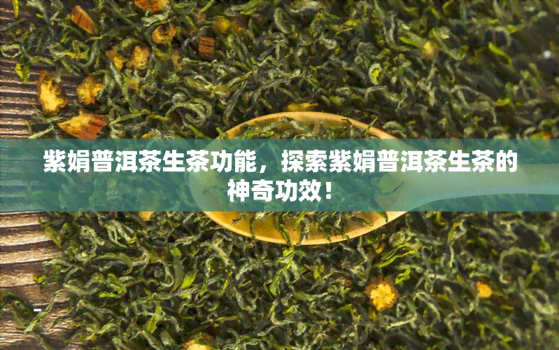 紫娟普洱茶生茶功能，探索紫娟普洱茶生茶的神奇功效！