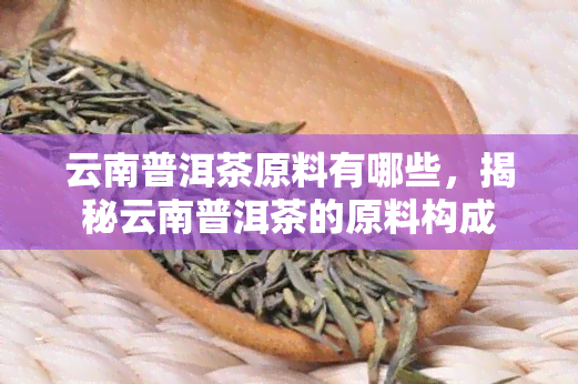 云南普洱茶原料有哪些，揭秘云南普洱茶的原料构成