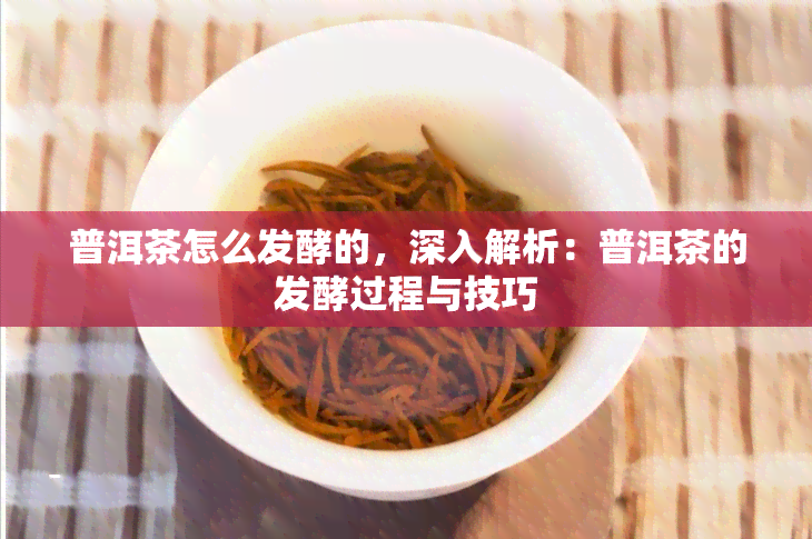 普洱茶怎么发酵的，深入解析：普洱茶的发酵过程与技巧